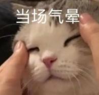 DƬ